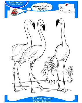 Çocuklar İçin Flamingo Boyama Sayfaları 